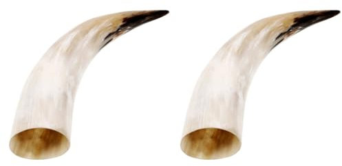 Zerodeko 2pcs Cow Horns in Vase Viking Horn Vase Car Drinking Viking Cow Planters Truck Train Kit for Truck Air Plant