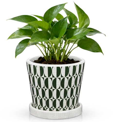 Oairse 14cm Green and White Ceramic Plant Pot with Drainage Hole & Saucer, Crackle Glaze Flower Pot for Indoor Plants, Decorative Planter for Home, Office, Windowsill, Outdoor