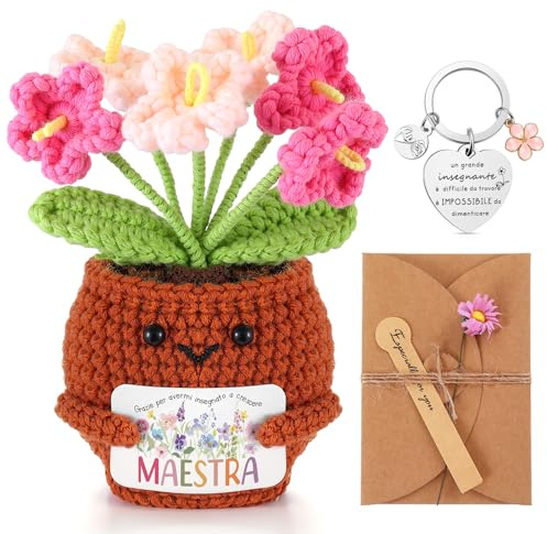 Skylety 3 Regalos para Amiga Hermana Profesora Plantas Tejidas en Maceta Llavero Tarjetas de Felicitación con Flores Secas Regalo de Agradecimiento para Navidad o Cumpleaños(Maestra)