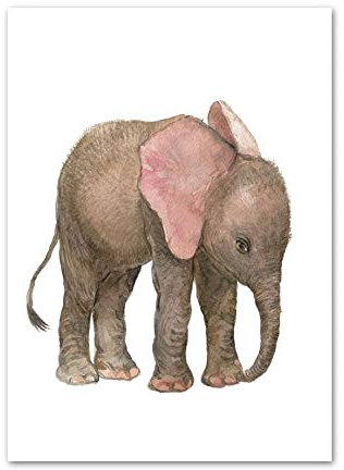LCSLDW Leinwanddruck，Nette Zirkus Elefant Kinderzimmer Wandkunst Leinwand Malerei Nordic Poster Und Drucke Tiere Wandbilder Baby Kinderzimmer Wohnkultur, 60X80Cm Ohne Rahmen