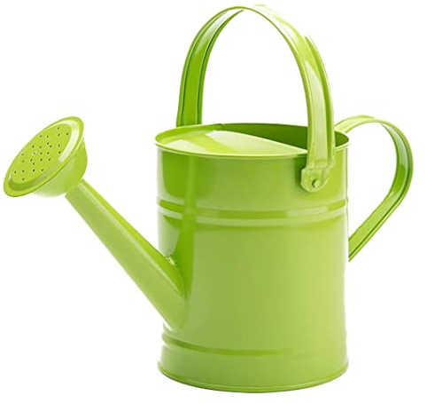Gcroet Arrosoir de Jardin, arrosoir pour Enfants Petites Plantes de Jardin en métal arrosoir équipement d'arrosage pour Fleur d'intérieur 1.5L Vert