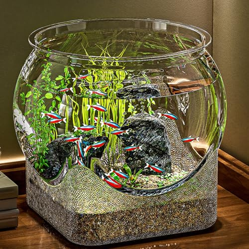 Clear Aquarium Betta Fish Tank, Desktop Fish Bowl, Globe Transparent Turtle Tank, Round Vase Planter Centerpiece, For Bedroom, Living Room, Aquatic Animals, Plants