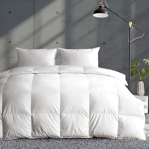 APSMILE Piumone invernale 100% cotone / 380Gr/Mq Matrimoniale Piumone/Inserto piume d'oca e piumino d'oca per tempo freddo/dormitori (220 x 240cm, Bianco)