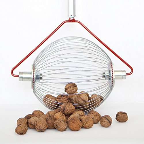 Feucht Obsttechnik Walnuss-Sammler mit Holz-Stab- der Roll-Blitz die kleinste Obstaufsammelmaschine der Welt direkt vom Hersteller für Walnüsse, Golfbälle, Pflaumen UVM (mittel) Silber