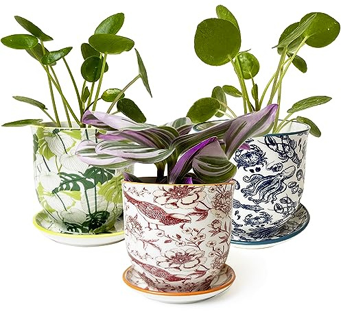 Chive Liberte Set mit 3 Keramik-Sukkulenten-Übertöpfen, niedliche Blumentöpfe im Vintage-Stil für Zimmerpflanzen, schöne Wohn- und Küchendekoration, Grün Rot Blau (Mix 8)