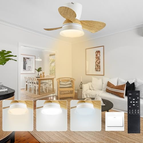Lrenjon 56CM Ventilador De Techo Con Luz Silencioso Pequeño Lampara Ventilador Techo Infantil Temporizador Ceiling Fan with Light Regulable 6 Velocidades Para Dormitorio Cuarto De Niños