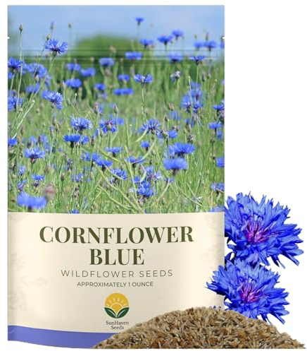 SunHaven Seeds Bachelor Button Seeds – Blue Cornflower – 5,500+ Seeds – 1 oz Bulk Extra Large Resealable Packet – Open-Pollinated Centaurea cyanus Wildflower Seeds