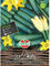 Graines de courgettes Leila F1 de graines Sperli