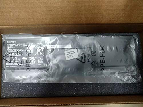 Sony Lithium ION Battery Pack, 185333521