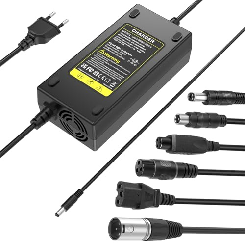 LabTEC 54.6V 48V 2A E-Bike Ladegerät Universal Li-on Akku Ladekabel, für 48V 2A 13S Lithium Akku Elektroroller Elektrofahrrad Stromversorgung (6 in 1)