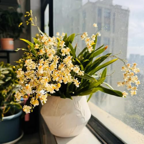Semi di orchidea Oncidium, da balcone Oncidium hybridum, semi esotici da giardino rare da ufficio regali sostenibili 60pcs