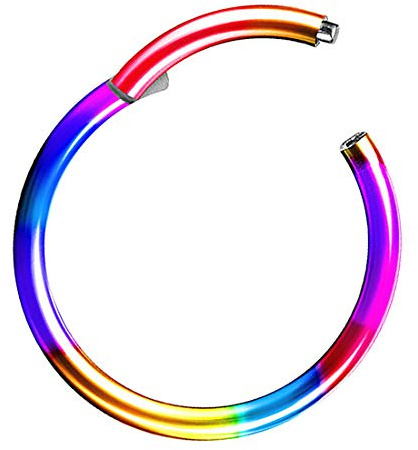 Taffstyle Segment Piercing Titan mit Scharnier für Septum Tragus Helix Nase Lippe Ohr Intim
