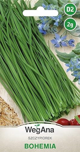 WegAna Semi di erba cipollina di Boemia 2g (circa 800 semi) Semi di ortaggi robusti, Semi di ortaggi, Semi di serre
