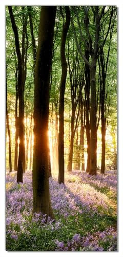 Wallario Selbstklebende Türtapete Blaue Hasenglöckchen im Wald mit Sonnenstrahlen - Türposter 93 x 205 cm Abwischbar, rückstandsfrei zu entfernen
