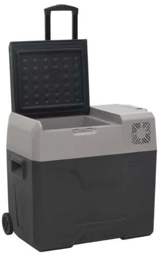 Generisch Kühlbox mit Rollen und Adapter Schwarz & Grau 40 L Polypropylen,Heim & Garten,Küche & Esszimmer,Essens- & Getr?nkebeh?lter,Kühlboxen,3154636
