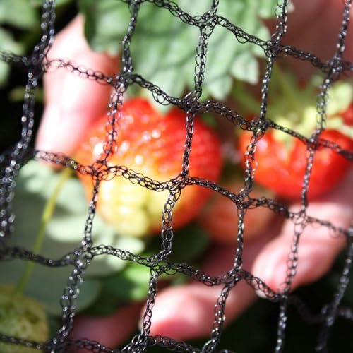 Oakland Gardens Anti Bird Netting 2m 4m 6m 8m 10m 12m Net Fruit Pond Garden Bird Flu Protection (8m x 10m Netting)