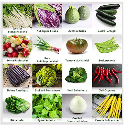 Prademir – Gartengemüse Samen Set aus 16 Sorten Premium Gemüse Samen – Gemüse Anzuchtset mit 100% Natursamen aus Portugal – Gemüse Saatgut aus Gurke, Zucchini, Karotte, Chili, Tomate, Salat uvm.