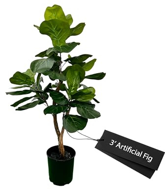 Cypress & Alabaster Handmade 3ft Fiddle Leaf Fig Ficus Lyrata Artificial Tree with Ethically Sourced Real Wood Trunks, Hypoallergenic, 3-Foot, Green