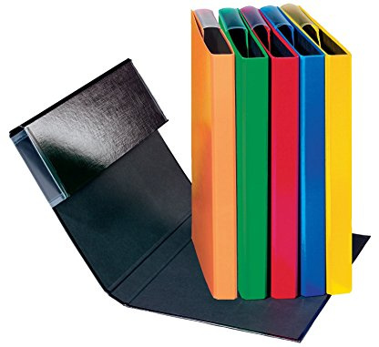 PAGNA 21310-00 Heftbox PP Basic - A4, 6 farbig sortiert