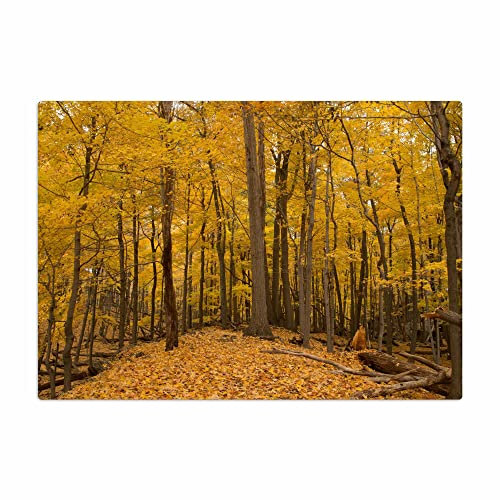 Vero Home 14204 Glas-Schneidebrett | Motiv Natur Herbst-Laub | rutschfest, kratzfest und lebensmittelecht | Maße: 39 x 29 cm
