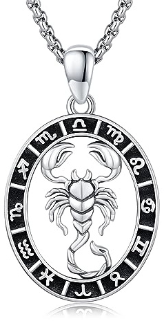 REDSUN Zodiac Necklace 925 Sterling Silver Scorpio Necklace Zodiac Pendant Necklace Astrology Horoscope Jewelry for Women and Girls