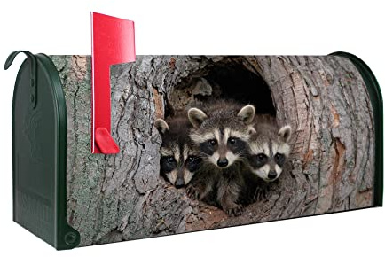 banjado® Amerikanischer Briefkasten - US Mailbox/Letterbox mit Motiv DREI Waschbären 51x22x17cm - Postkasten Stahl aus Amerika – Briefkasten amerikanisch grün pulverbeschichtet