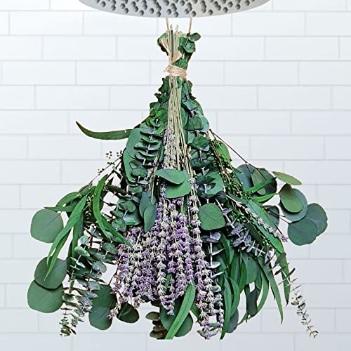 26 PCS Mix Dried Eucalyptus & Lavender Flowers Bundles for Shower, 17'' Natural Real Hanging Silver Dollar Eucalyptus Laeaves Stem, Fresh Shower Plants, Fragrance, Wedding Decor (26 pcs)