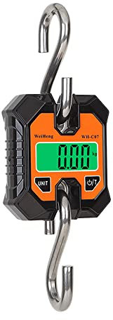 Irfora 100kg/50g tragbare elektronische Hängewaage Multifunktionale kleine elektronische Waage KG Catty LB Einheitenumschaltung LCD-Display mit Hintergrundbeleuchtung Heimjagd Angeln Wiegen mit Haken