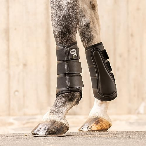 SUNRIDE Dressurgamaschen (2er Set) - für Pferde - aus Echtleder und Neopren - zum Schutz vor Verletzungen (XS / 24 cm, schwarz)