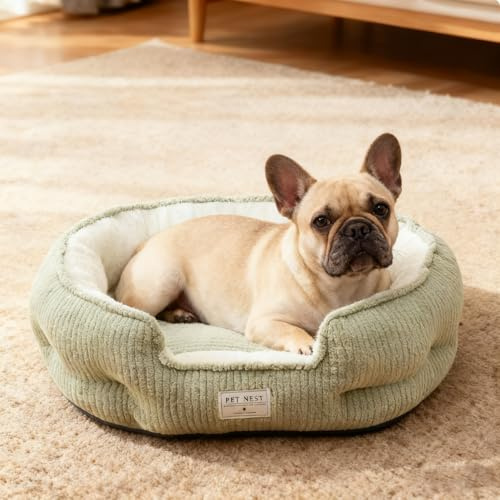 PETCUTE Hundebett für kleine Hunde,Waschbares Hundekörbchen mit Rutschfester Unterseite,erhöhte Ränder,Weiches Hundekissen zum Schlafen und Kuscheln,Hundesofa für Hunde und Katzen,Grün,2XL