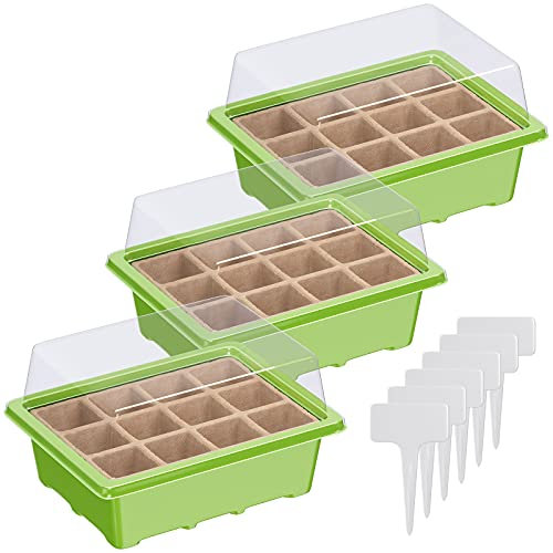 WELLGRO Mini Gewächshaus inkl. 6 Pflanzschilder - für bis zu 12 Pflanzen - ca. 19x14,5x11cm je Zimmergewächshaus, Kunststoff/Zellulose - Menge wählbar, Stückzahl:3 Stück