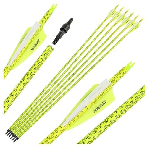 FQH 12 Stück Spine 500 Carbon-Pfeile 31.5 Zoll gemischte Carbon-Pfeile 3 Zoll Federn 100 Grain Pfeilspitzen für Compoundbogen-Jagd Recurvebogen Outdoor-Bogenschießen Zielschießen