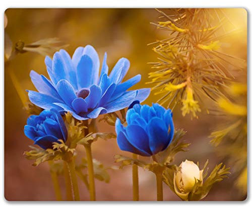 SHALYSONG Blue Flower Mouse pad, Personalized Computer Mousepad, Office Decoration Accessories Gift, Non-Slip Rubber Mouse mat for Laptop