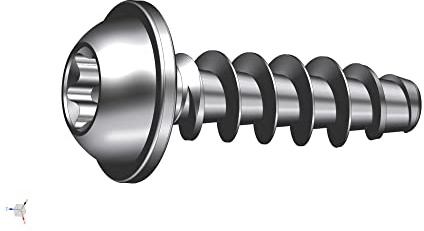 Schriever STS 2,5x8mm Edelstahl Thermoplast-Linsenkopfschraube mit Scheibe KN1038, Anzahl:10 Stück