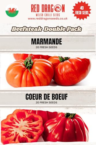 Beefsteak Tomato Seeds Double Pack 1-40 Fresh Beefsteak Tomato Seeds