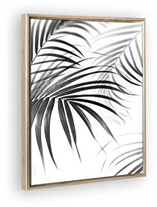 Bildershop-24 Schattenfugenrahmen Set Lemgo Silber Antik mit Keilrahmen Leinwand Bild Druck Motiv: Palmenblätter 40x50cm