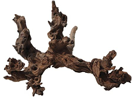 Amtra Legno Mystic Wood - Size XL 50-70 cm, Natural Wood Decoration for Aquariums, Natural Trunk Ornamental Ornament, Decorative Accessory for Terrariums