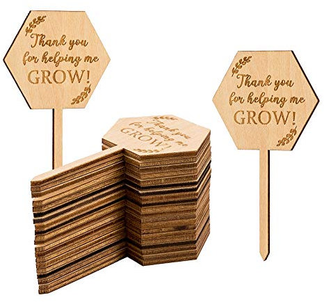 Parbee 20 sechseckige Pflanzenstecker mit Aufschrift Thank You for Helping Me Grow Sukkulenten, Geschenk für Muttertag, Weihnachten, Thanksgiving, Babyparty