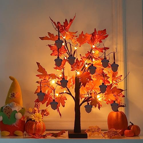 YEAHOME Fall Decorations for Home, Thanksgiving Decorations, 24”/2FT Lighted Fall Maple Leaves Tree with 24 LEDs for Autumn Decor, 12 Wood Acorns Ornaments Battery Powered Timer for Table Indoor