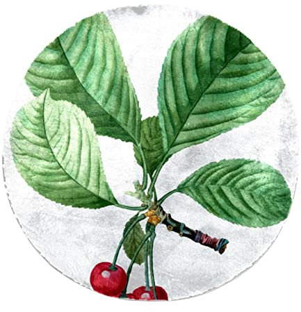 Personalisierbarer flauschiger Teppich Plüsch Kreis Bodenteppich Matte Kirschbaum Kunstfell Teppich