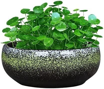 Keramik-Blumentopf 7,2 Zoll, Retro, rund, groß, flach, glasiert, Pflanztöpfe, Sukkulenten, Pflanzschale, Bonsai-Töpfe, Garten, dekorative Fensterbank, Gartendekoration, Geschenk