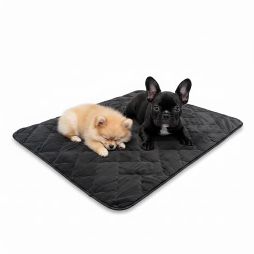 ggm Hundedecke 120x100 cm – Flauschig, Langlebig & Pflegeleicht | Ideal für Zuhause | 100% Kunstfaser mit 200g Vlies-Füllung | Atmungsaktiv & Temperaturausgleichend | für Hunde