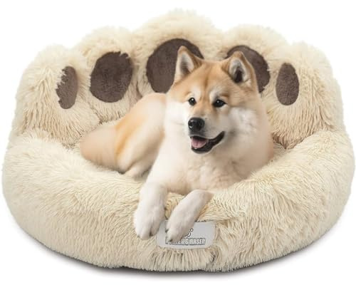 pfoten&nasen® Bärenpfote Hundebett & Katzenbett [Beige, S-65cm] – Flauschiges Donut Katzenkörbchen Waschbar, Rund & Weich – Beruhigendes Kuschelbett für Kleine Hunde, Welpen & Katzen
