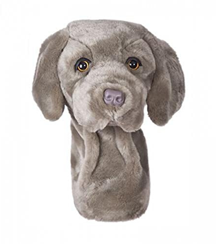 Daphne's Golfschlägerhaube, Weimaraner