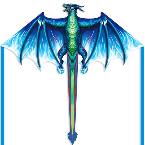 Kaiciuss Drachen-Drachen für Kinder, Erwachsene & Anfänger | Leicht montierbarer Einleinen-Flugdrache 150×150 cm, inkl. 91m Leine mit Griff für Strand & Park