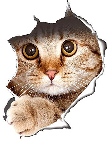 Süß 3D Katze/Hund Wandaufkleber Kinderzimmer Schlafzimmer Wandtattoo WC Deckel Wasserfest Aufkleber Badezimmer Wandsticker Kühlschrank DIY Sticker (3D Katze)