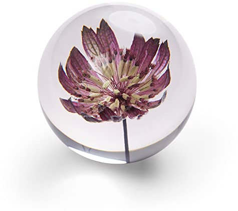 In Flore Blume Briefbeschwerer, Buchdruck aus Kunstharzglas, mit echter lila Blume, 8 cm, lila