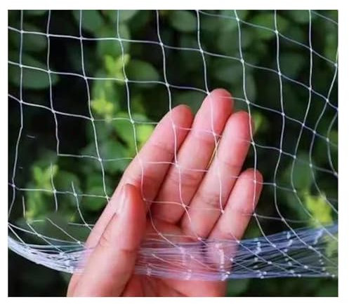 Malla Antipajaros, Red Invisible para Cazar Pajaros, Red Antipajaros para Arboles Huerto y Frutales, Red de Nylon, Malla de 2,5cm, Evitar Que Las Palomas Entren a la Terraza (Color : 2.5cm, Size : 3