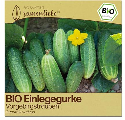Samenliebe BIO Gurken Samen | Einlegegurke Vorgebirgstrauben - mini & knackig - samenfestes BIO Saatgut