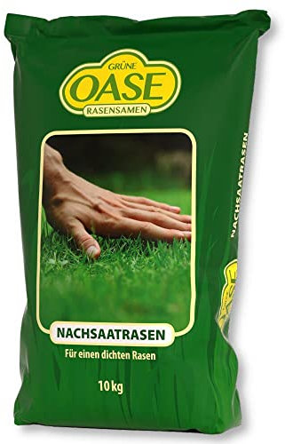 Grüne Oase Rasensamen Nachsaat 10 kg Grassamen Schnellwachsend Sportrasen